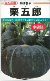 画像: 送料無料　[かぼちゃ]　栗五郎　11粒　カネコ交配