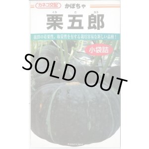 画像: 送料無料　[かぼちゃ]　栗五郎　11粒　カネコ種苗（株）