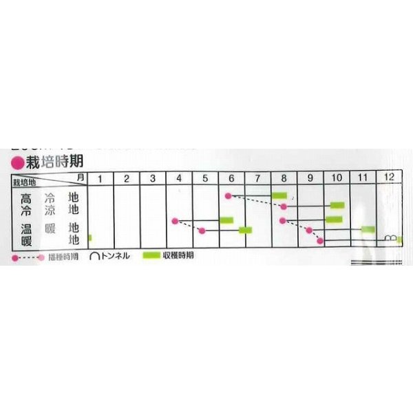 画像4: 送料無料　[大根]　ミニダイコン　ころっ娘　20ml　(株)サカタのタネ (4)