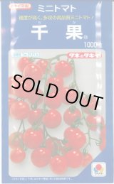 画像: 送料無料　[トマト/ミニトマト]　千果　1000粒　タキイ種苗(株)