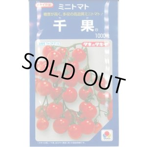 画像: 送料無料　[トマト/ミニトマト]　千果　1000粒　タキイ種苗(株)