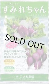 画像: 送料無料　[大根]　二十日すみれちゃん　20ml　(およそ1,700粒)(株)大和農園