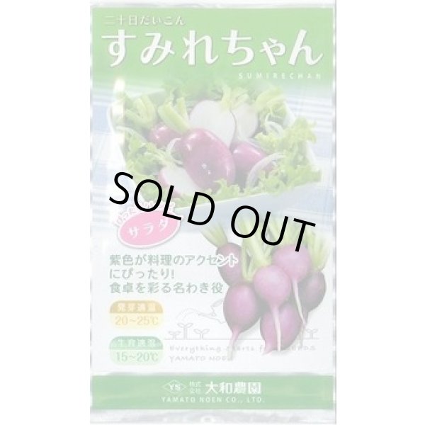 画像1: 送料無料　[大根]　二十日すみれちゃん　5ml (1)
