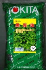 画像: [枝豆]　黒真珠　1L　トキタ種苗(株)