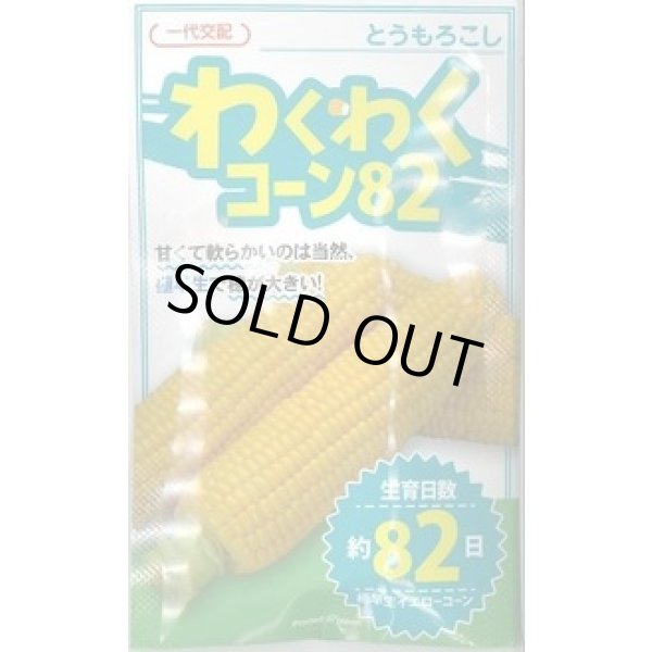 画像1: 送料無料　[とうもろこし]　わくわくコーン82　100粒　カネコ種苗（株） (1)