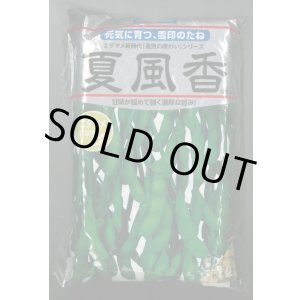 画像: [枝豆]　夏風香　1L　雪印種苗(株)
