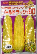 画像: 送料無料　[とうもろこし]　ゴールドラッシュ90　200粒　(株)サカタのタネ