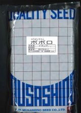 画像: [そら豆]　ポポロ　1L　（株）武蔵野種苗園