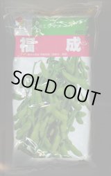 画像: [枝豆]　福成　1L　タキイ種苗(株)