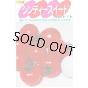 画像: [トマト/中玉トマト] シンディースイート 100粒 (株)サカタのタネ