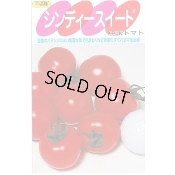 画像1: [トマト/中玉トマト] シンディースイート 100粒 (株)サカタのタネ (1)
