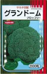 画像: 送料無料　[ブロッコリー]　グランドーム　2000粒　(株)サカタのタネ