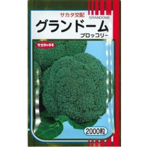 画像: 送料無料　[ブロッコリー]　グランドーム　2000粒　(株)サカタのタネ