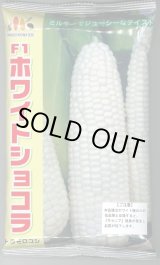 画像: [とうもろこし]　ホワイトショコラ　2000粒　ヴィルモランみかど（株）