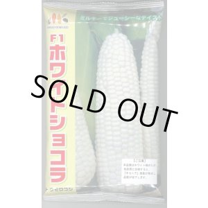 画像: [とうもろこし]　ホワイトショコラ　2000粒　ヴィルモランみかど（株）