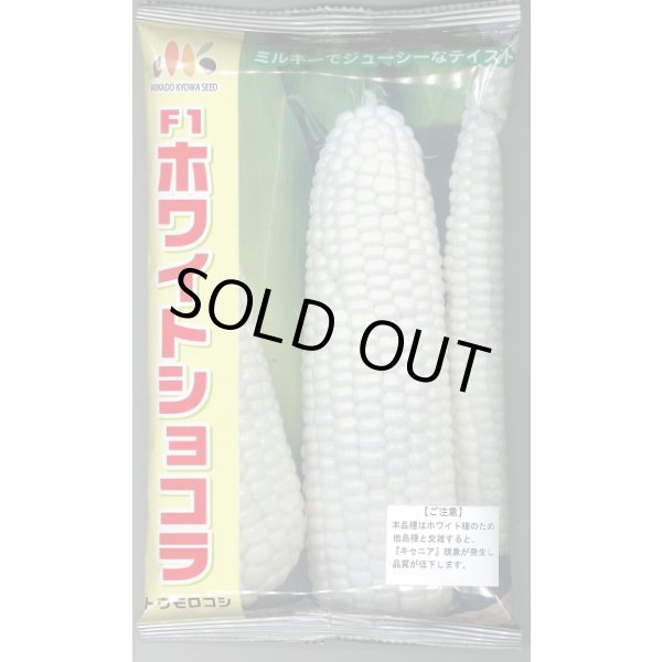 画像1: [とうもろこし]　ホワイトショコラ　2000粒　ヴィルモランみかど（株） (1)