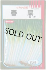 画像: [ねぎ] 春扇 20ml(裸種子) (株)サカタのタネ