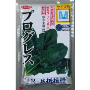画像: [ほうれんそう]　プログレス　種子サイズ：M　3万粒　（株）サカタのタネ