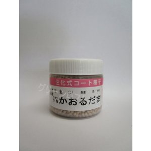 画像: 送料無料　[キャベツ]　かおるだま　コート5千粒　（株）サカタのタネ