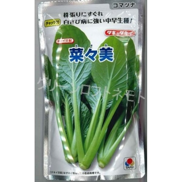 画像1: [小松菜]　菜々美　2dl　タキイ種苗（株） (1)