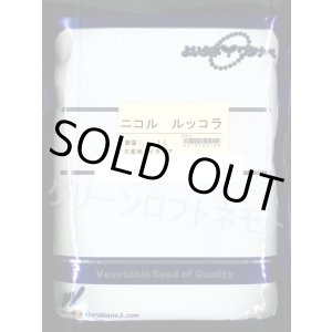 画像: 送料無料　二コル　ルッコラ　1L　渡辺農事（株）