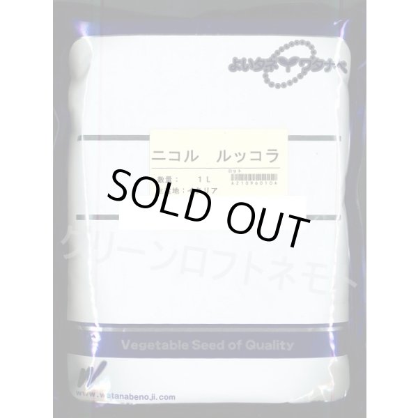 画像1: 送料無料　二コル　ルッコラ　1L　渡辺農事（株） (1)