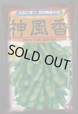 画像: [枝豆]　枝豆　神風香　1L　雪印種苗(株)