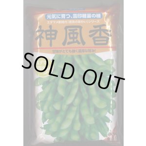 画像: [枝豆]　枝豆　神風香　1L　雪印種苗(株)