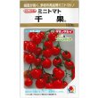 画像1: 送料無料　[トマト/ミニトマト]　千果　100粒　タキイ種苗(株) (1)