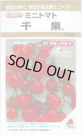 画像: 送料無料　[トマト/ミニトマト]　千果　100粒　タキイ種苗(株)