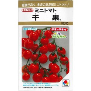 画像: 送料無料　[トマト/ミニトマト]　千果　100粒　タキイ種苗(株)