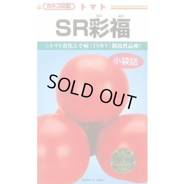 画像1: [トマト/大玉トマト] SR彩福  小袋   12粒 カネコ種苗（株） (1)