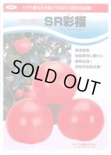 画像: [トマト/大玉トマト] SR彩福 100粒 カネコ種苗（株）
