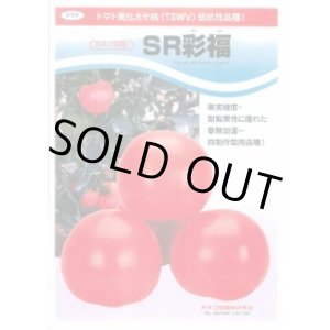 画像: [トマト/大玉トマト] SR彩福 100粒 カネコ種苗（株）