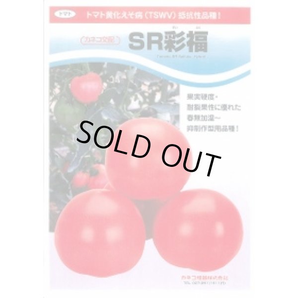 画像2: [トマト/大玉トマト] SR彩福  小袋   12粒 カネコ種苗（株） (2)
