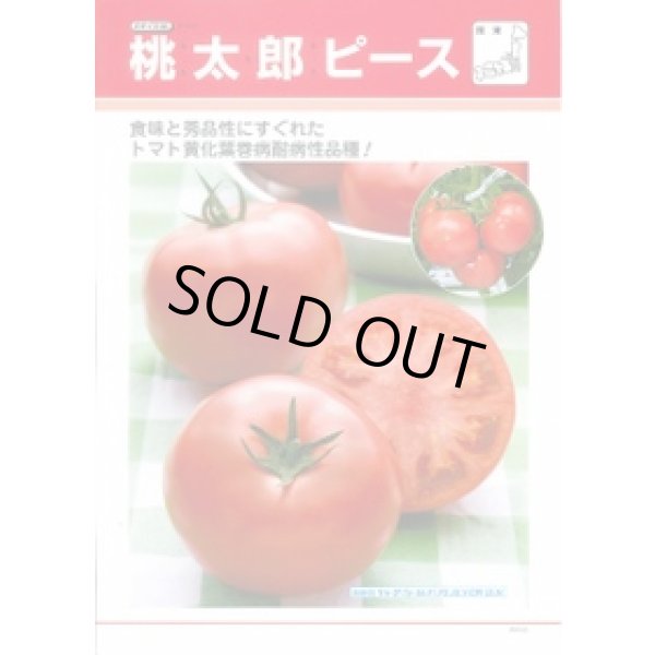 画像2: 送料無料　[トマト/桃太郎系]　桃太郎ピース　ペレット1000粒　タキイ種苗（株） (2)