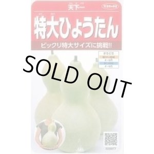 画像: 送料無料　特大ひょうたん　約6粒　(株)サカタのタネ　実咲250（002866）