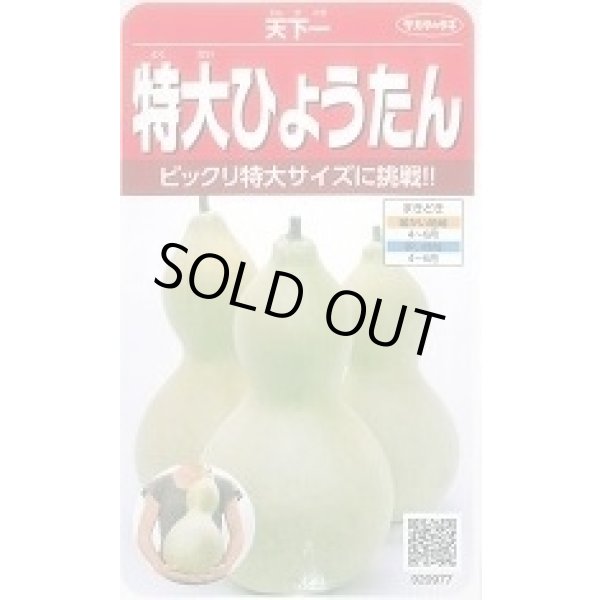 画像1: 送料無料　特大ひょうたん　約6粒　(株)サカタのタネ　実咲250（002866） (1)