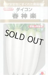 画像: 送料無料　[大根]　春神楽　10ml　タキイ種苗(株)