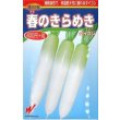 画像1: 送料無料　[大根]　春のきらめき　130粒　渡辺交配 (1)
