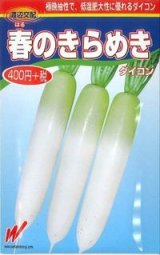 画像: 送料無料　[大根]　春のきらめき　130粒　渡辺交配