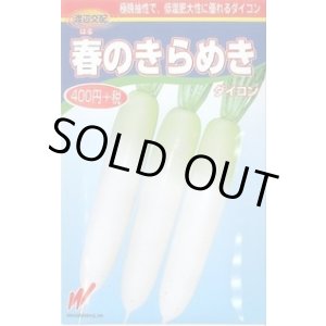 画像: 送料無料　[大根]　春のきらめき　130粒　渡辺農事（株）