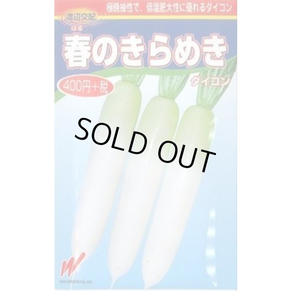 画像1: 送料無料　[大根]　春のきらめき　130粒　渡辺農事（株） (1)