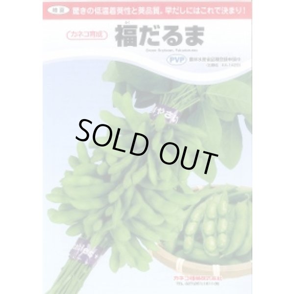画像2: [枝豆]　福だるま　2000粒　カネコ種苗（株） (2)