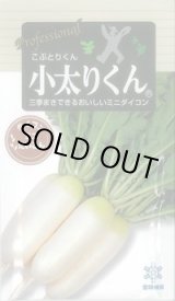 画像: 送料無料　[大根]　小太りくん　500粒　雪印種苗(株)