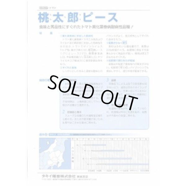 画像3: 送料無料　[トマト/桃太郎系]　桃太郎ピース　ペレット1000粒　タキイ種苗（株） (3)