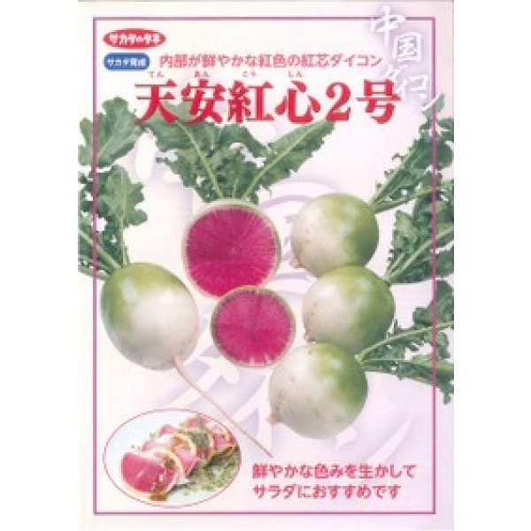 画像2: 送料無料　[大根]　天安紅心2号　約400粒 　(株)サカタのタネ　実咲450（003089） (2)