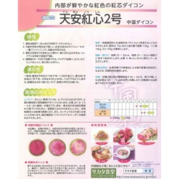 画像3: 送料無料　[大根]　天安紅心2号　約400粒 　(株)サカタのタネ　実咲450（003089） (3)