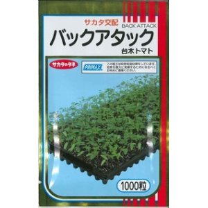 画像: [台木/トマト用]　送料無料！　バックアタック　1000粒　サカタ交配　