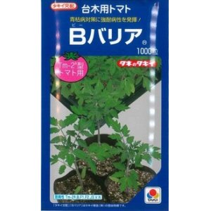 画像: [台木/トマト用]　送料無料！　Bバリア　1000粒　（トマト用）　タキイ種苗（株）